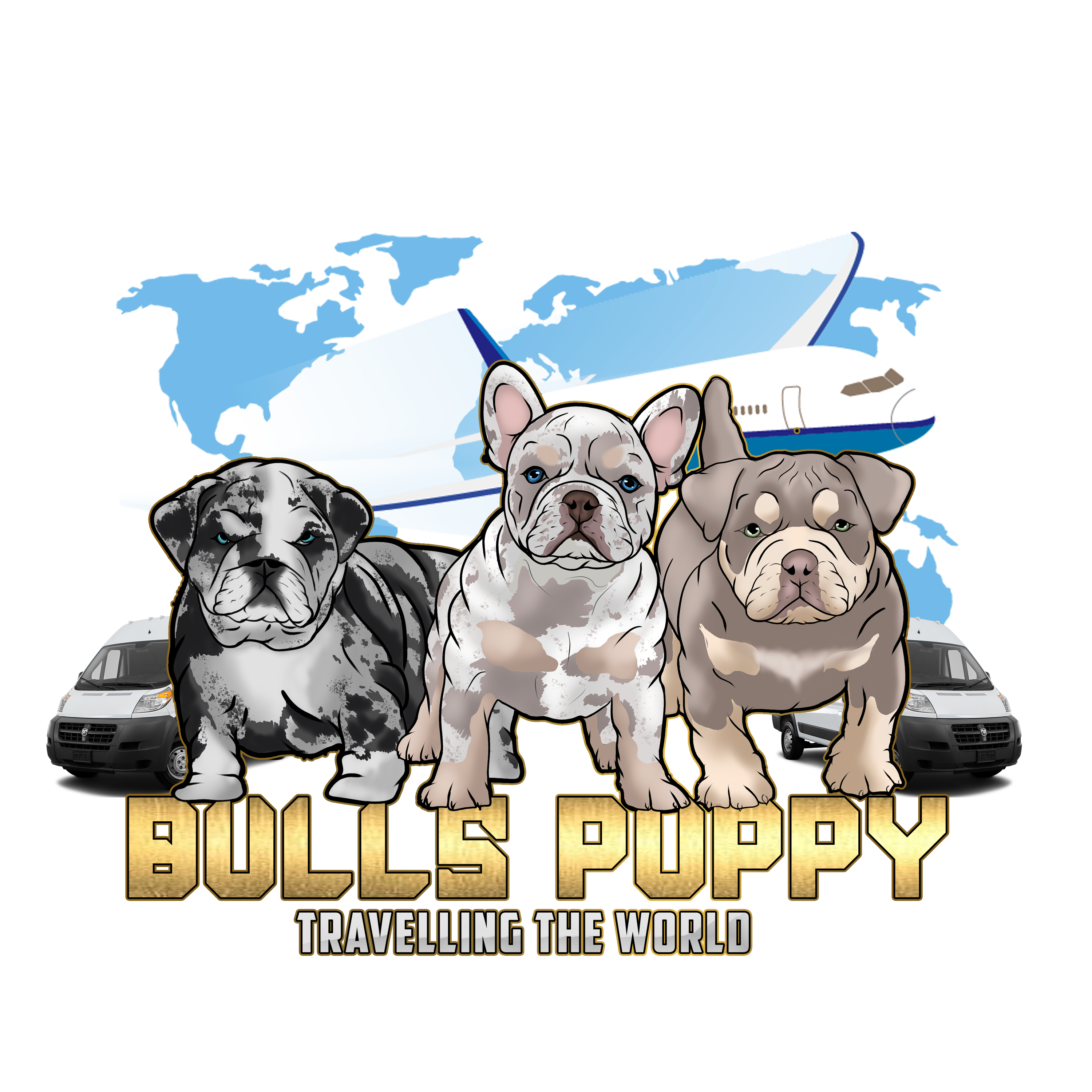 Bulls Puppy Traveling The World
